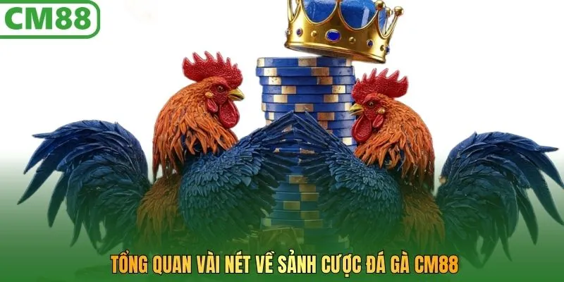 Tổng quan vài nét về sảnh cược Đá Gà CM88